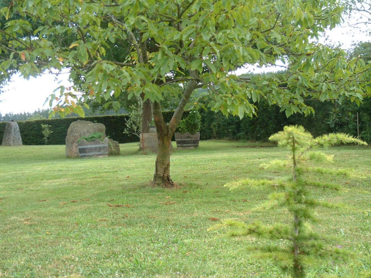 Albergue Eskerika Exclusivo Peregrinos Esquerica Exteriér fotografie
